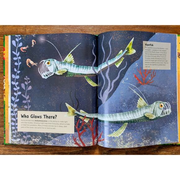 Incredible Animals Kids Book Hardbound Educational 8-12 Years Barefoot Books - Picture 6 of 11